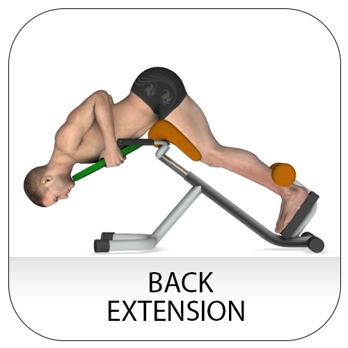Core exercises overview