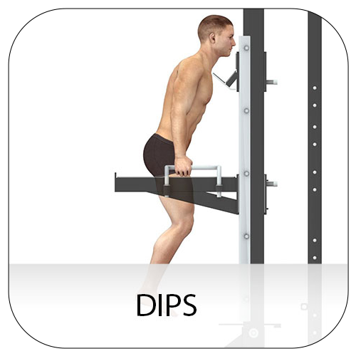 Dips